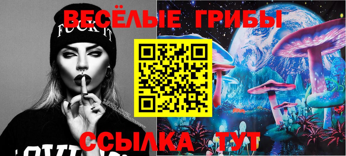 Псилоцибиновые грибы MAGIC MUSHROOMS  Вход с VPN  Камышин 