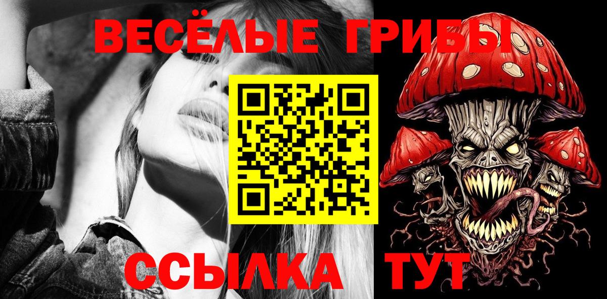 Псилоцибиновые грибы Psilocybe Камышин